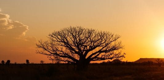Vol au dessus des Kimberleys – Australie