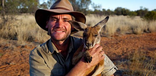 Kangaroo Dundee, sauveteur de kangourous