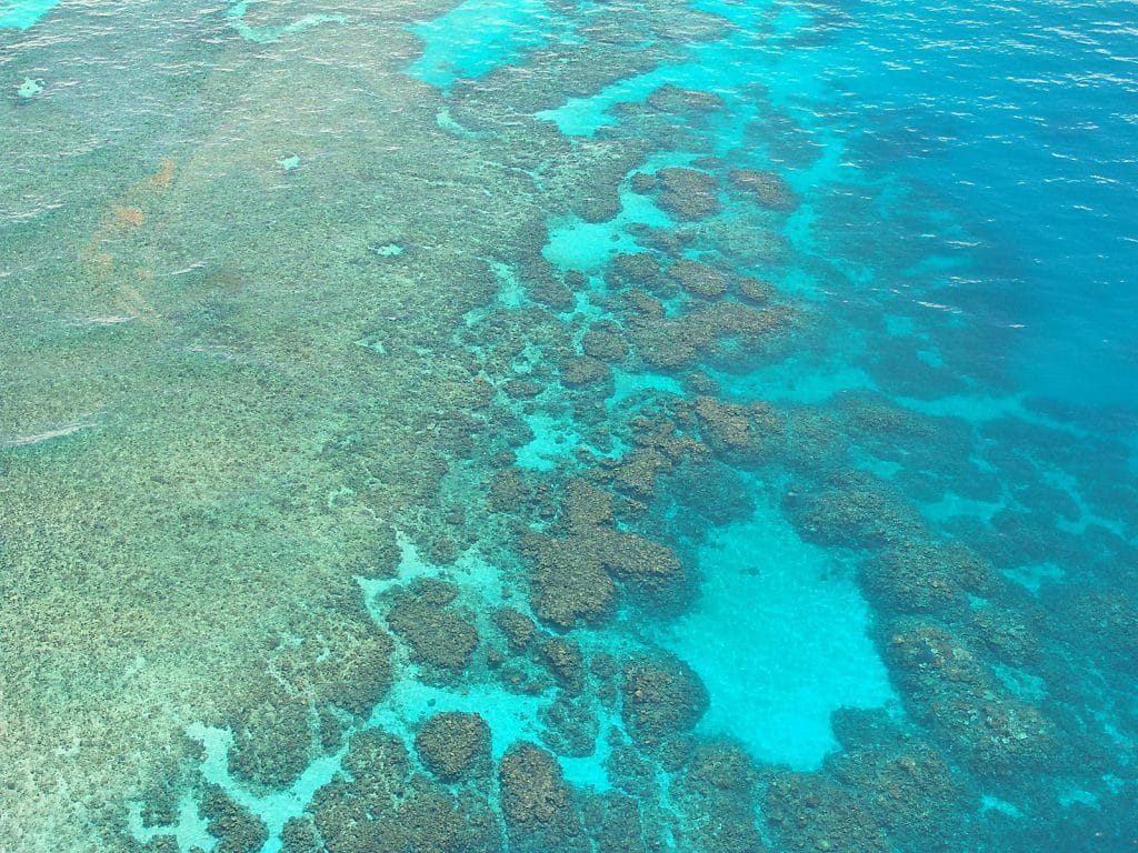 coraux vu du ciel à Cairns