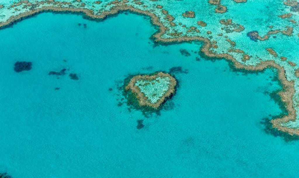 Le Heart reef est une formation de coraux formant un coeur