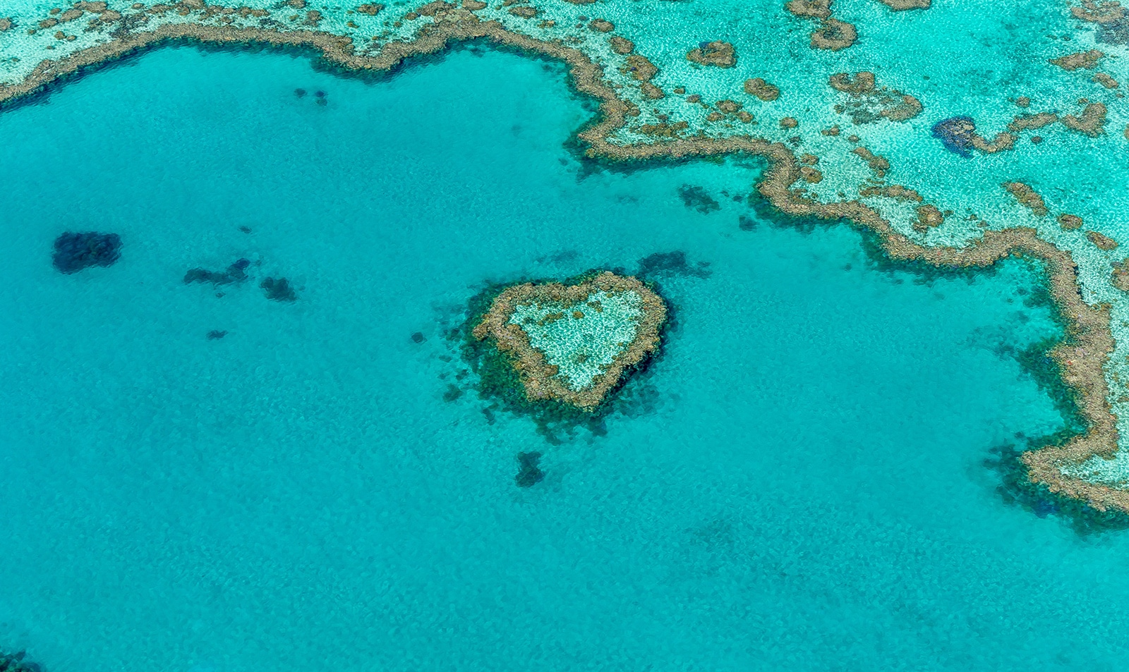 Heart Reef Grande Barriere