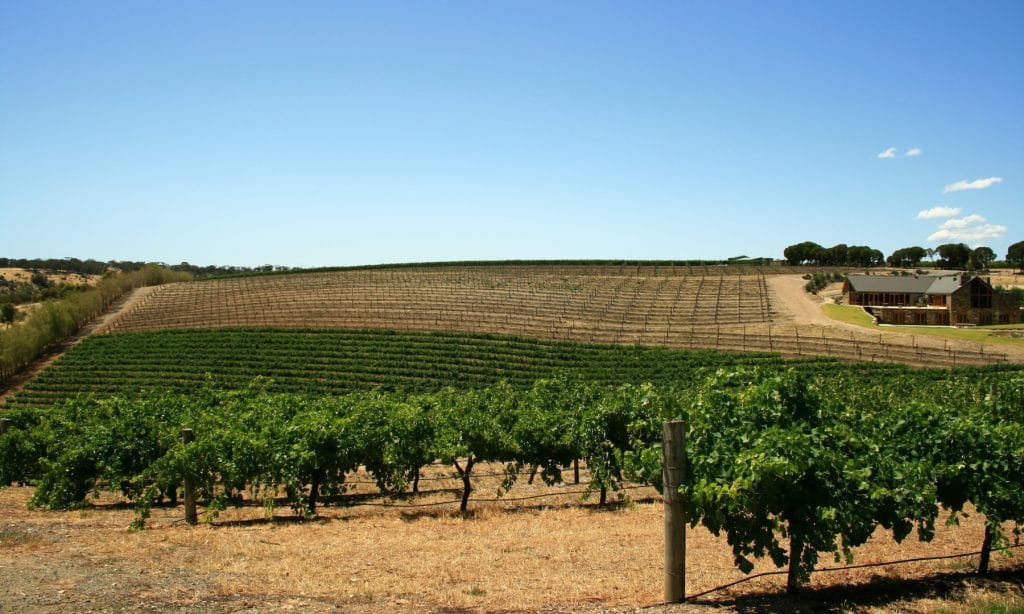 La région viticole de la Barossa dans le South Australia produit parmi les meilleurs vins du pays.