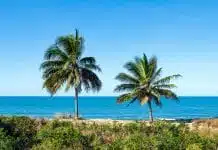 Les meilleures activités à Cairns