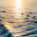 Surfer-a-byron-bay-nsw