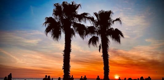 Les bons plans à Melbourne
