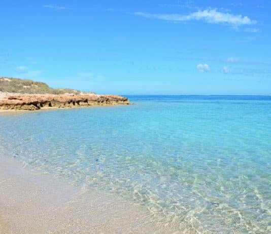 Visiter Exmouth et la Ningaloo Reef (WA)