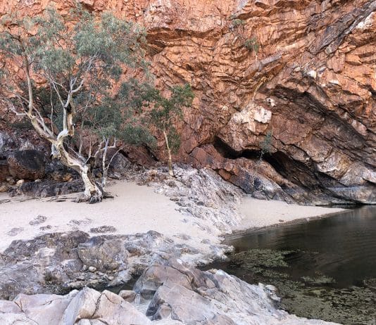 Découvrir les MacDonnell Ranges