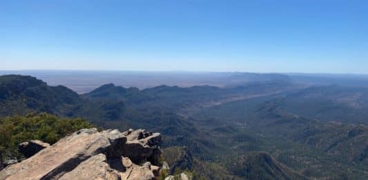 Visiter Ikara-Flinders Ranges National Park : guide complet