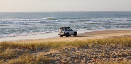 Visiter K’gari (Fraser Island) : Guide complet et conseils