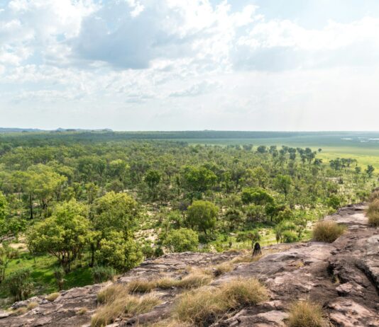 Visiter le Kakadu National Park en 3 jours